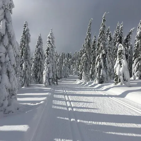 Daire Stacja Huta Szklarska Poreba