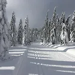 Апартаменты Stacja Huta Шклярска-Поремба