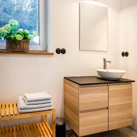 Apartmán Stacja Huta *