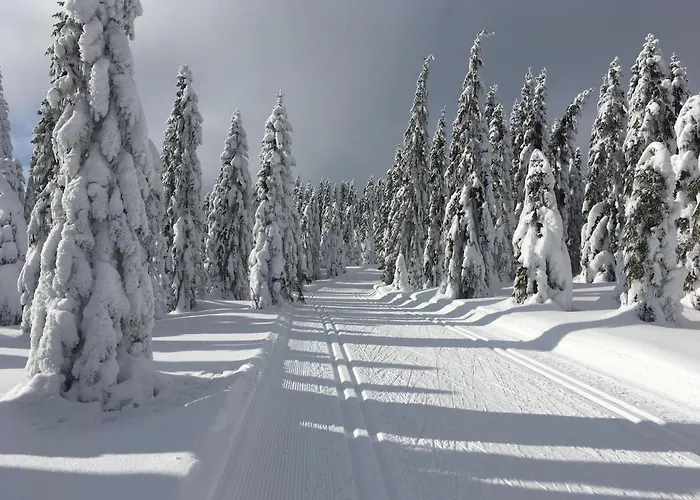 Apartment Stacja Huta Schreiberhau