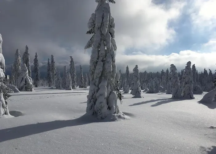 Apartment Stacja Huta *