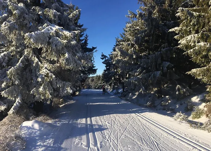 Apartment Stacja Huta Schreiberhau